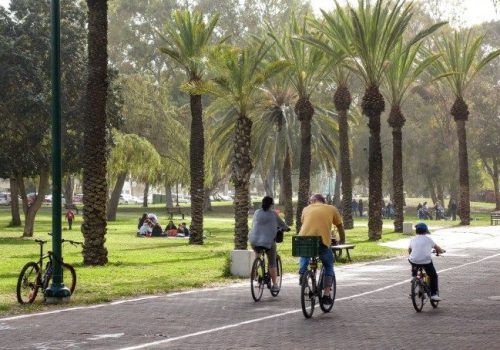 דירה בפוסט מספר: 245914