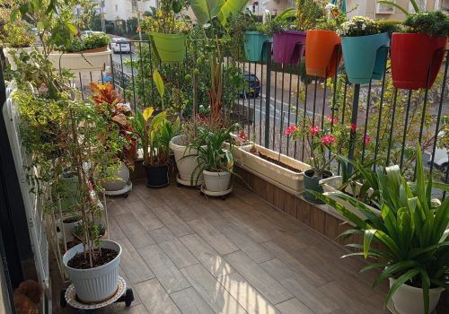 דירה בפוסט מספר: 247677