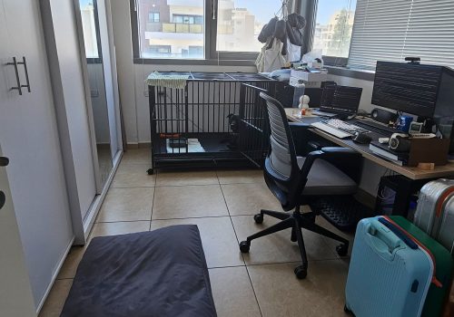 דירה בפוסט מספר: 247829